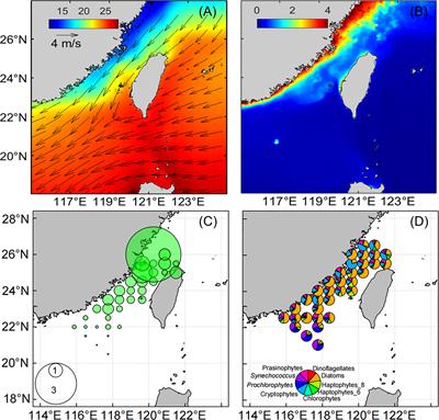 Responses of phytoplankton communities driven by differences of source water intrusions in the El Niño and La Niña events in the Taiwan Strait during the early spring